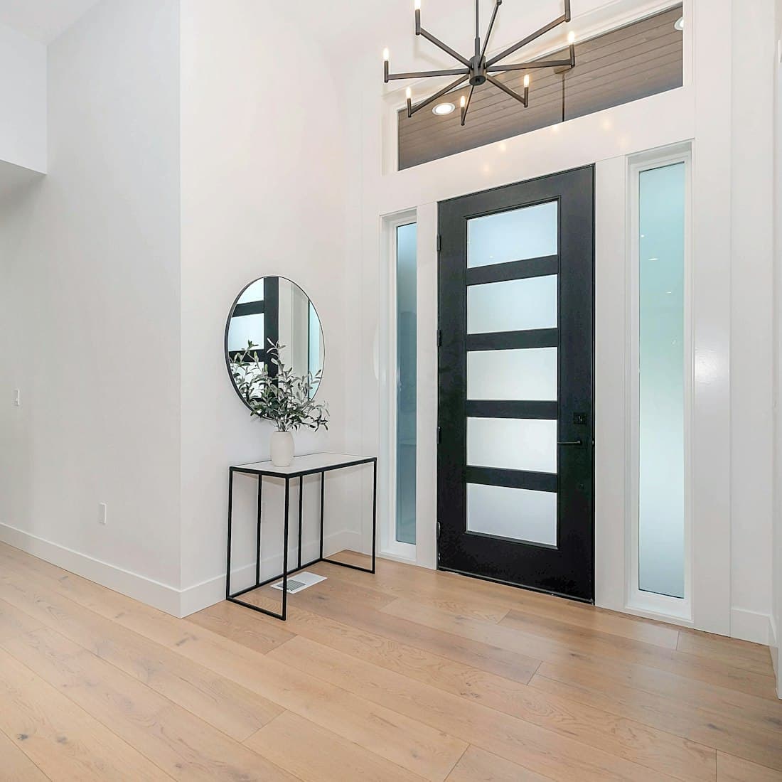 Black Glass Panel Door